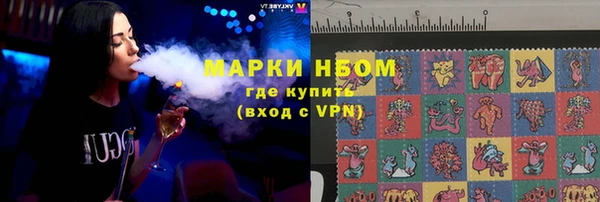 индика Гусев