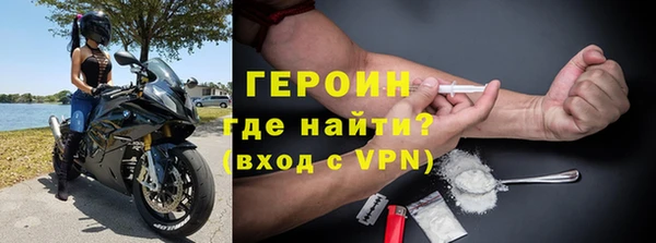 индика Гусев