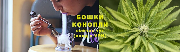 индика Гусев