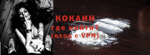 индика Гусев