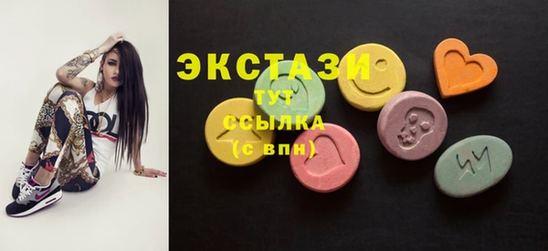 индика Гусев