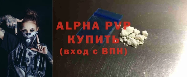индика Гусев