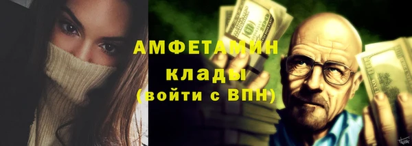 индика Гусев