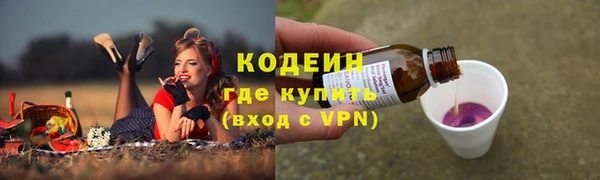 индика Гусев