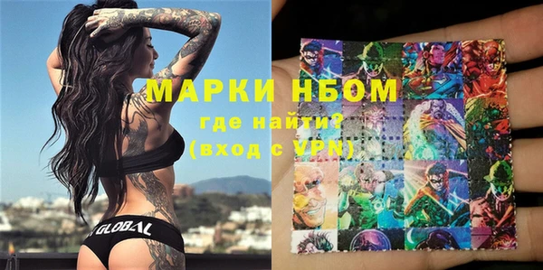 индика Гусев