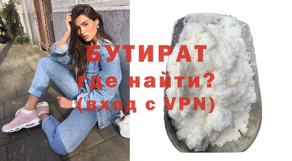 индика Гусев