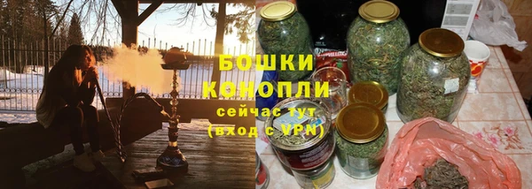 индика Гусев