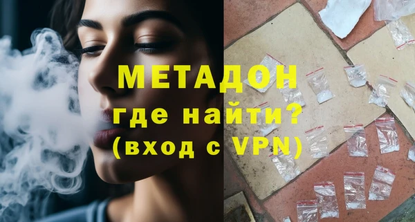 индика Гусев