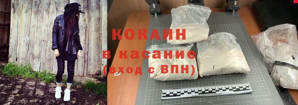 индика Гусев