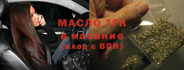 индика Гусев