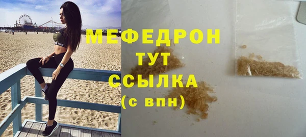 индика Гусев