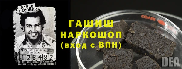 индика Гусев