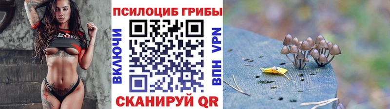 Галлюциногенные грибы Psilocybine cubensis  Купить  Купино 